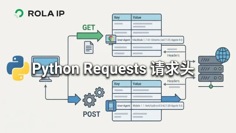 Python Requests请求头教程指南：GET、POST与User-Agent