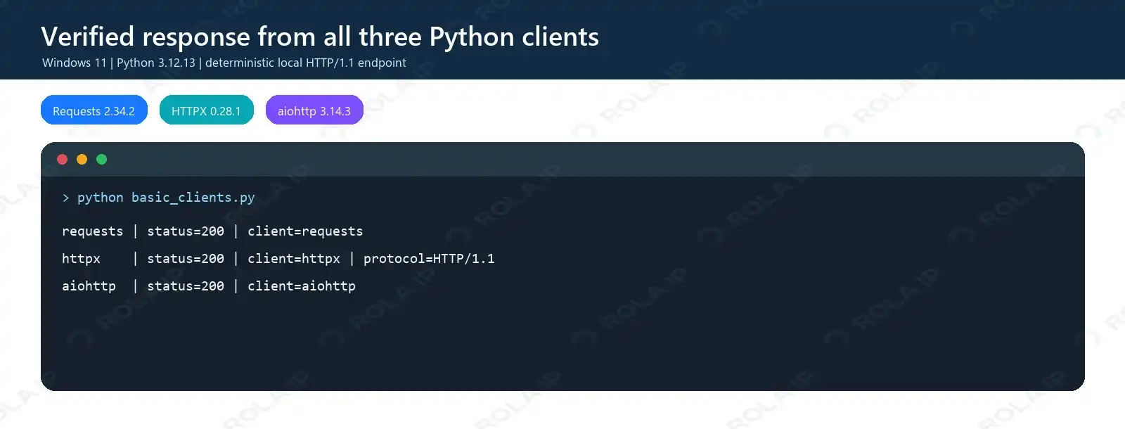 Requests, HTTPX, and aiohttp returning the same local JSON response