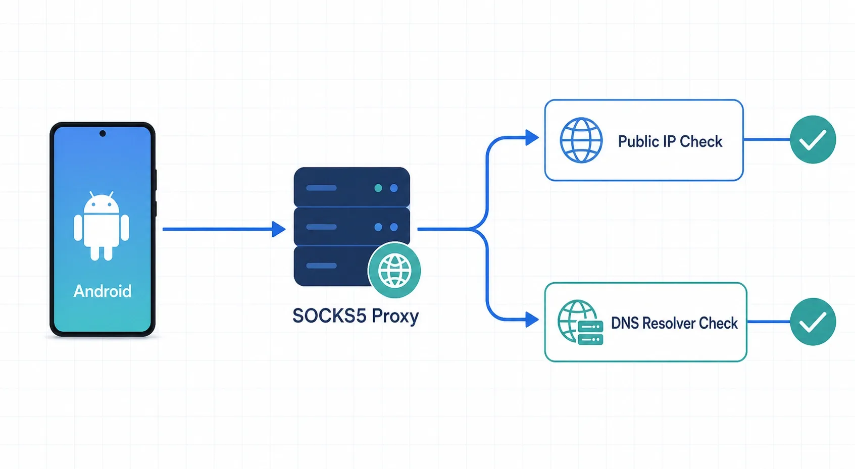 ip-dns-verification-illustration