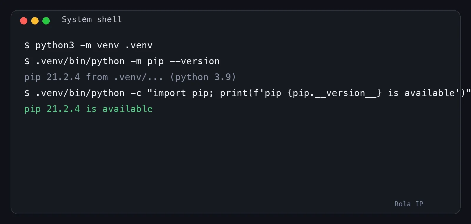 System shell showing a virtual environment and a successful pip check