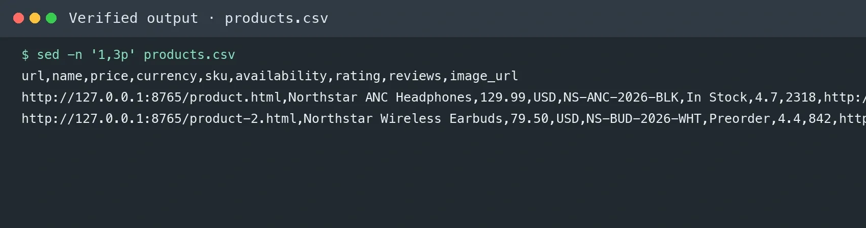 The generated CSV