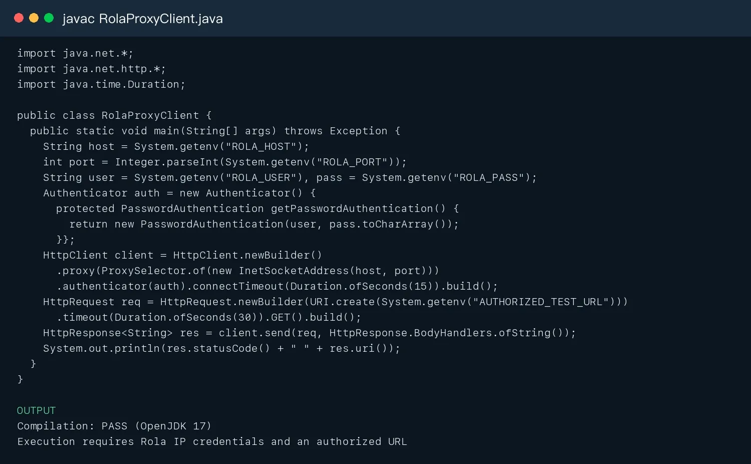 Rola IP Java integration code compilation result