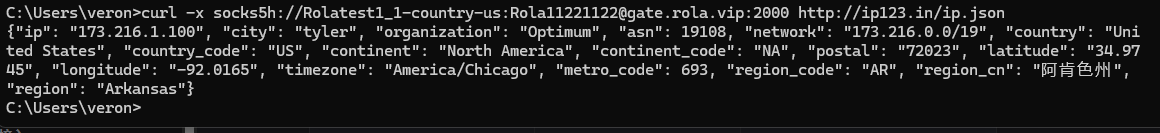 Terminal output confirming the configured proxy exit location