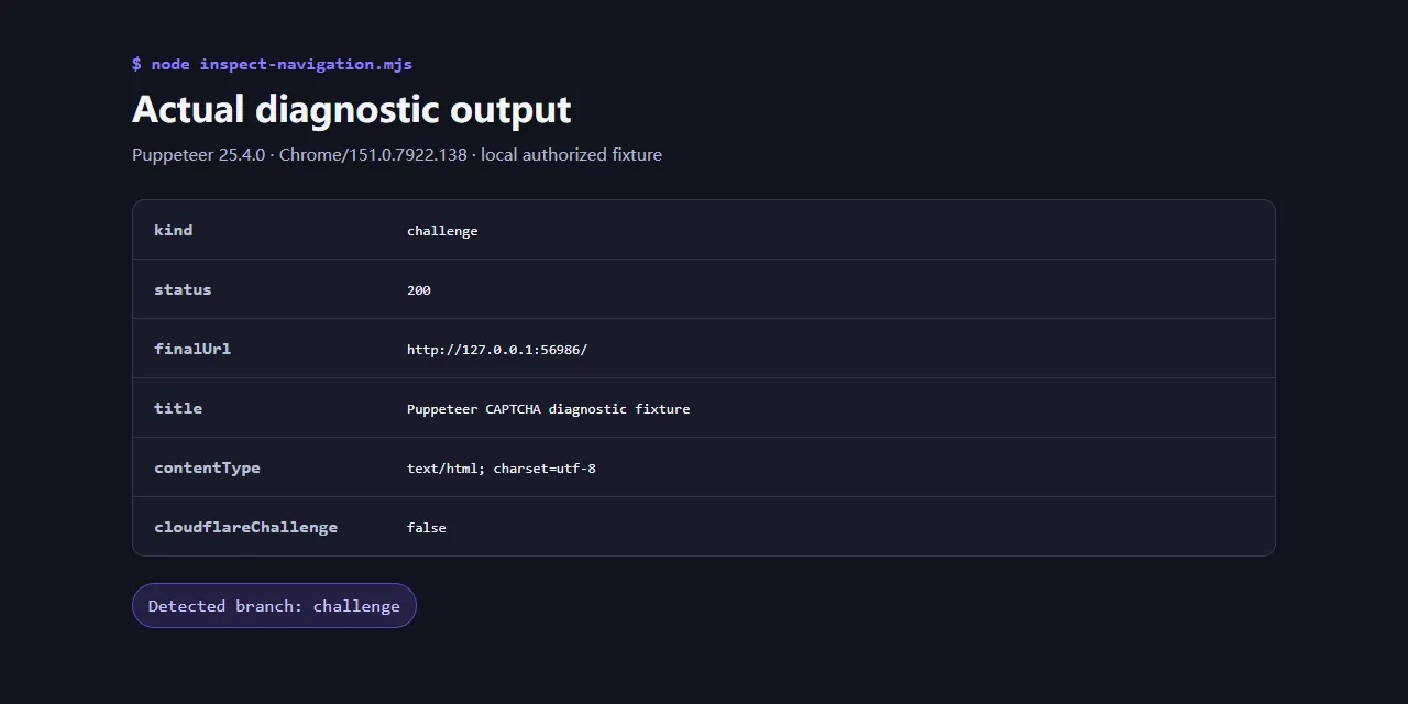 puppeteer-captcha-diagnostic-output
