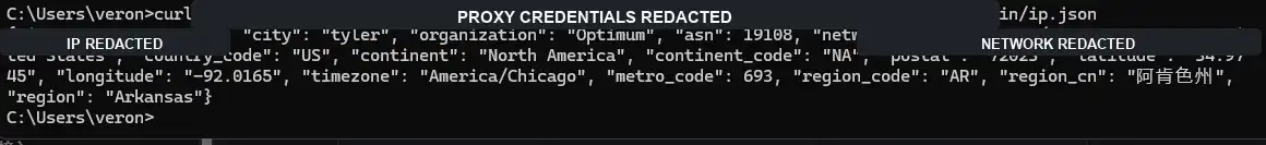 Redacted curl proxy check returning country, ASN, organization, and location fields