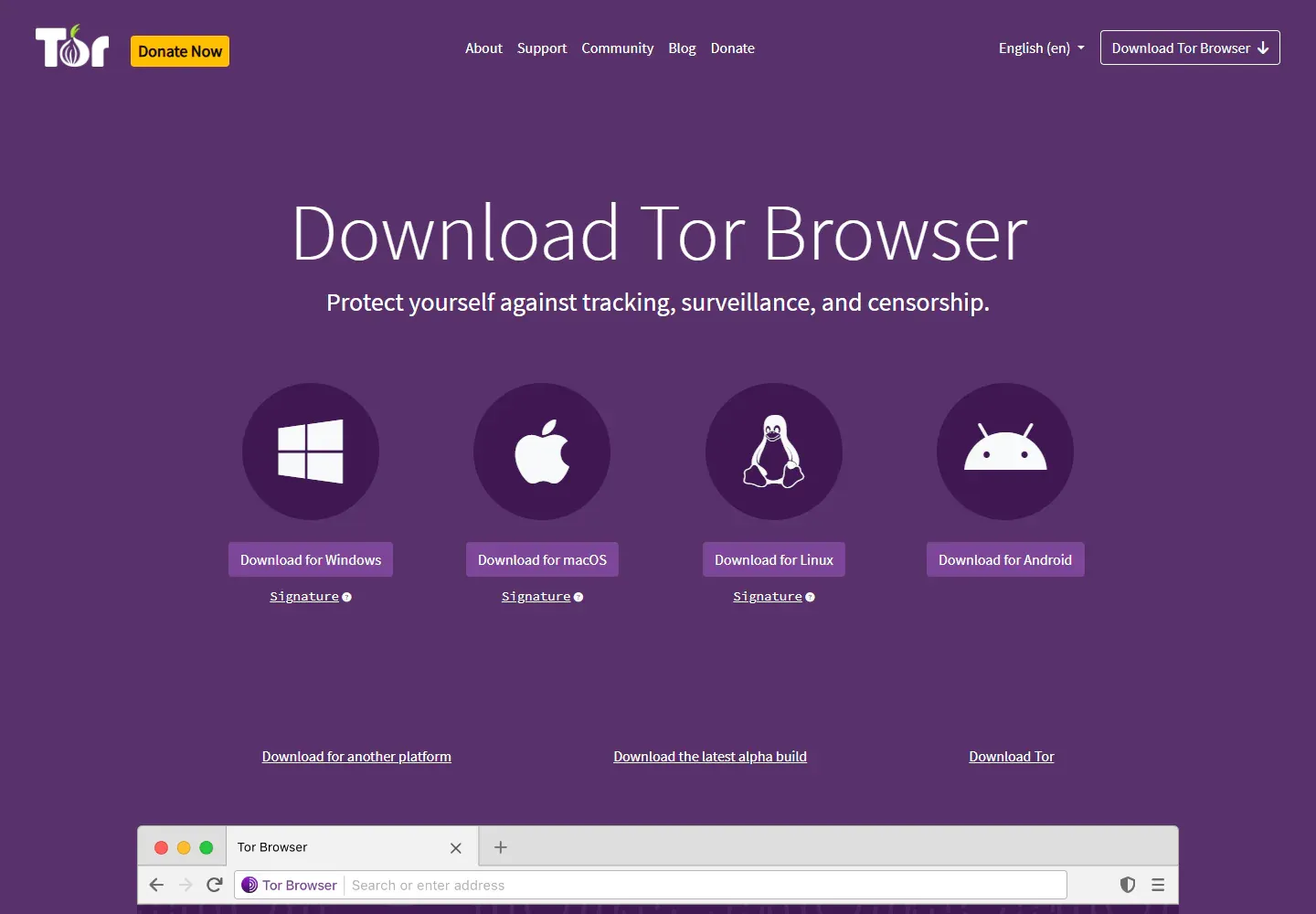 Official Tor Project download page with the Download for Windows button