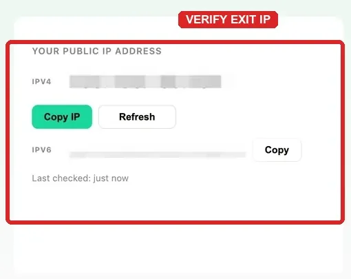 rola-ip-checker-public-ip
