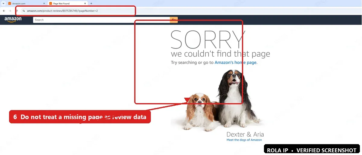 Amazon missing-page response at a product review page-2 URL