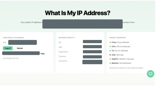 Rola What Is My IP tool with sensitive values redacted