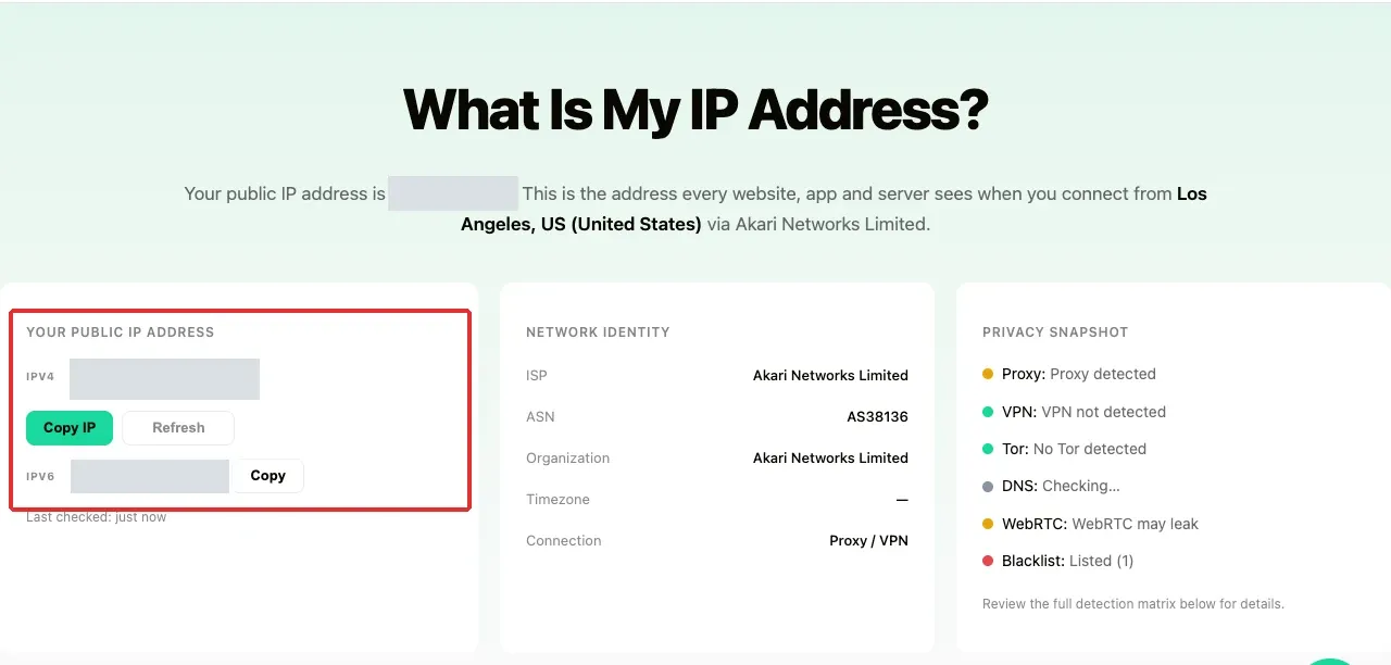 exit-check-page-public-ip-redacted