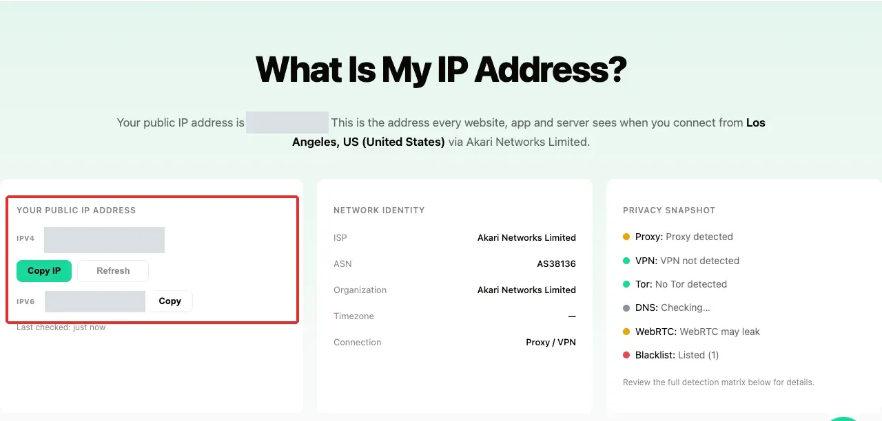 Figure 2. Check the browser egress information on the Rola IP What Is My IP page