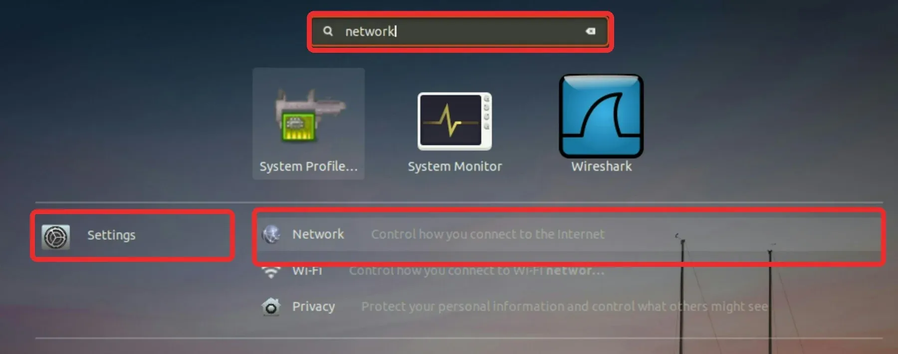 Application search for network showing the Network settings result