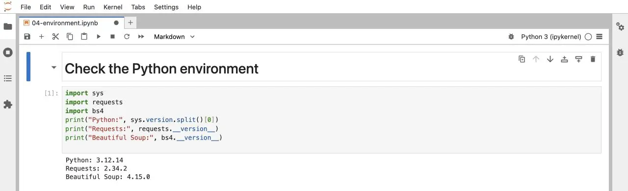 Figure 3: Checking Python and dependency versions in JupyterLab