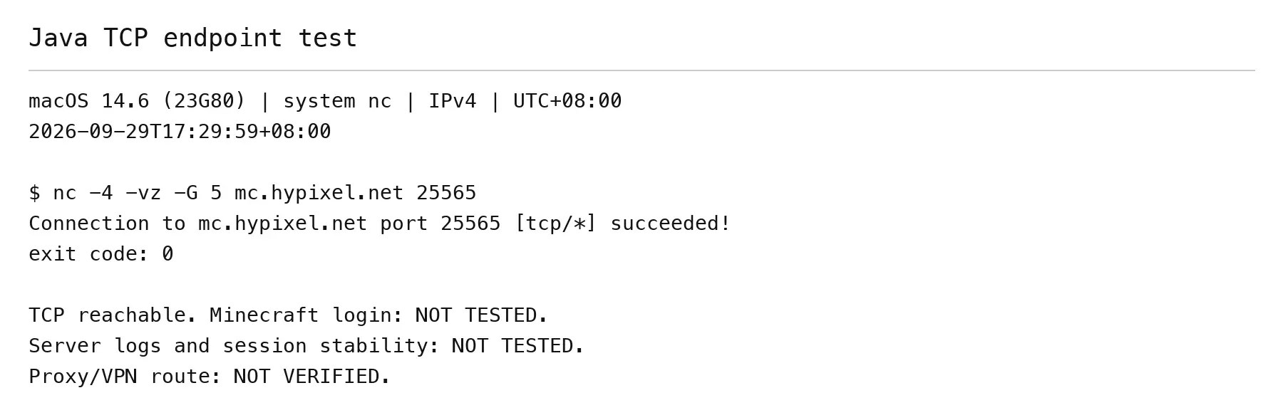 minecraft-java-tcp-port-test