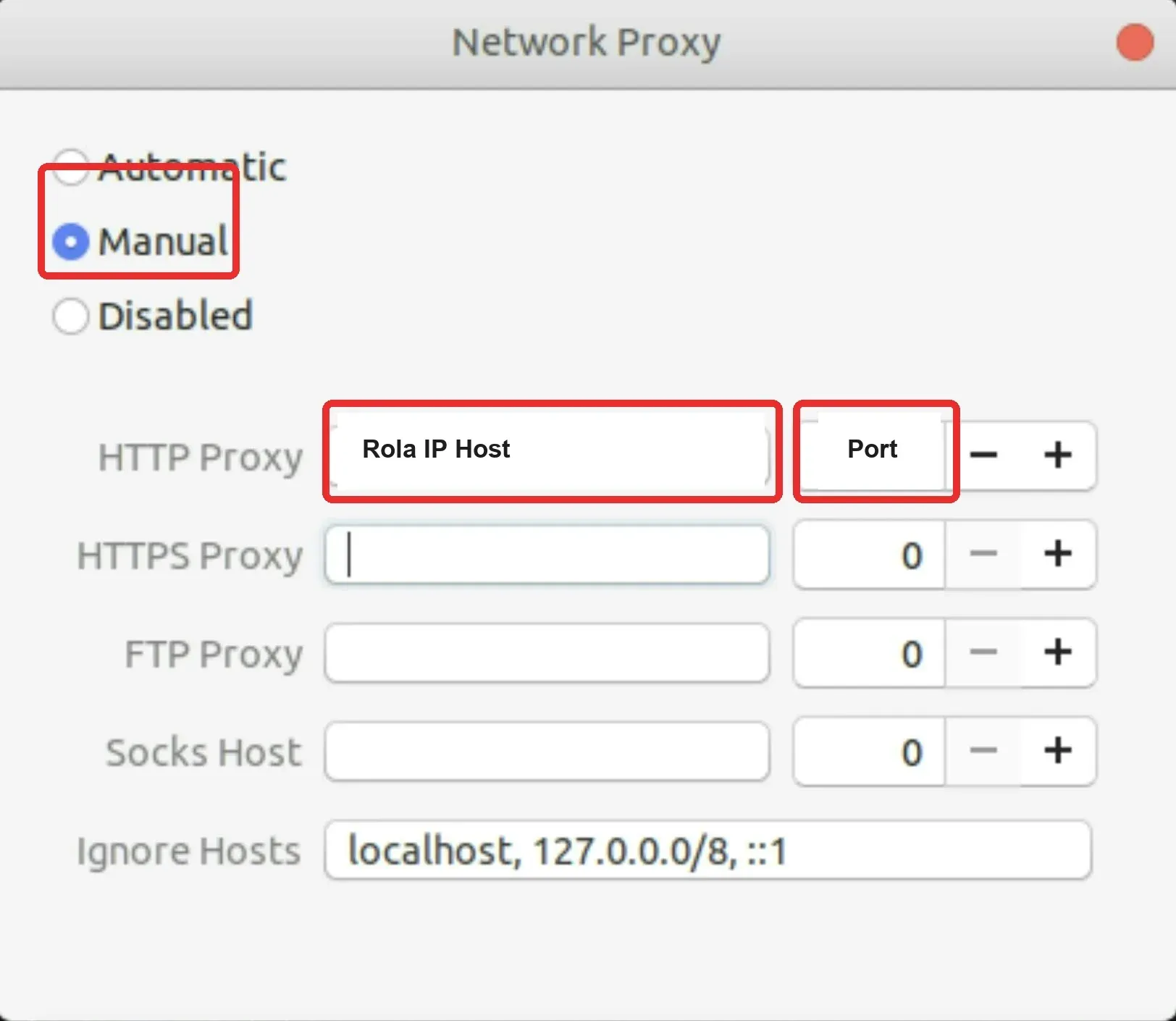 Manual Network Proxy with annotated host and port fields and loopback bypass entries