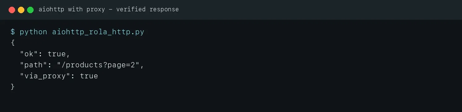 basic-aiohttp-with-proxy-terminal-output
