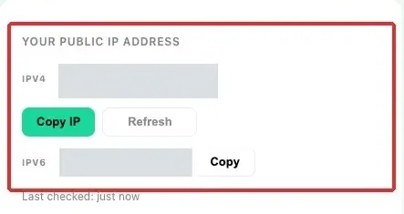 browser-public-ip-network-path
