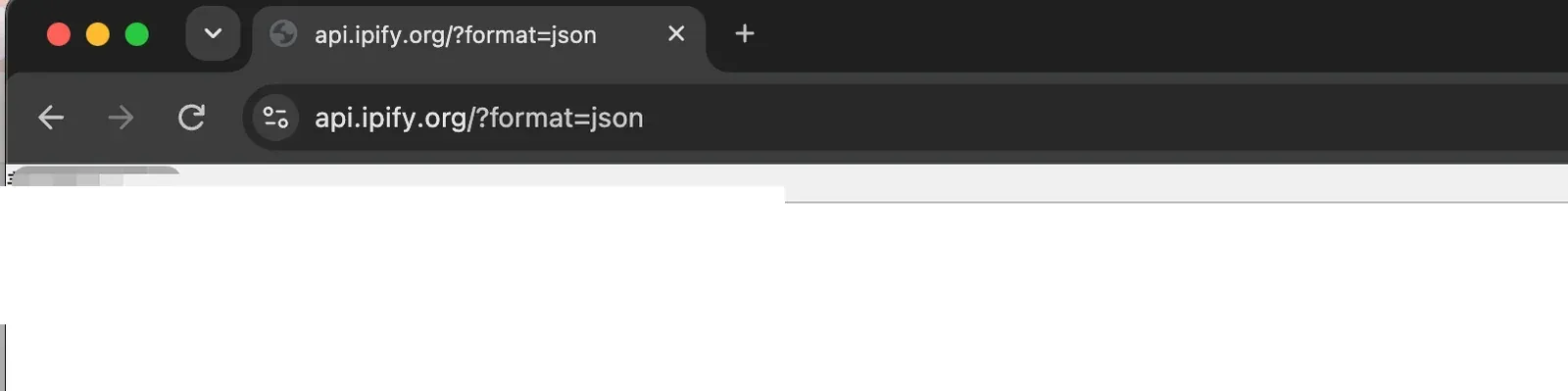 ipify-browser-interface